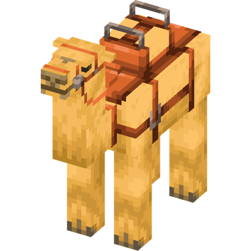 Camel illustration