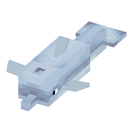 Dolphin illustration