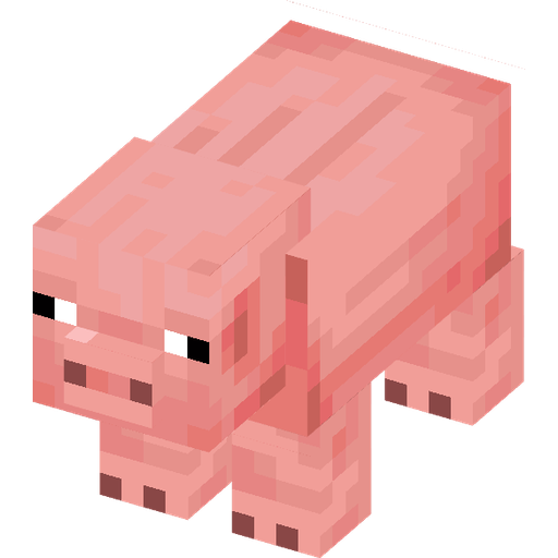 Pig illustration
