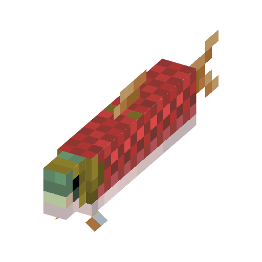 Salmon illustration