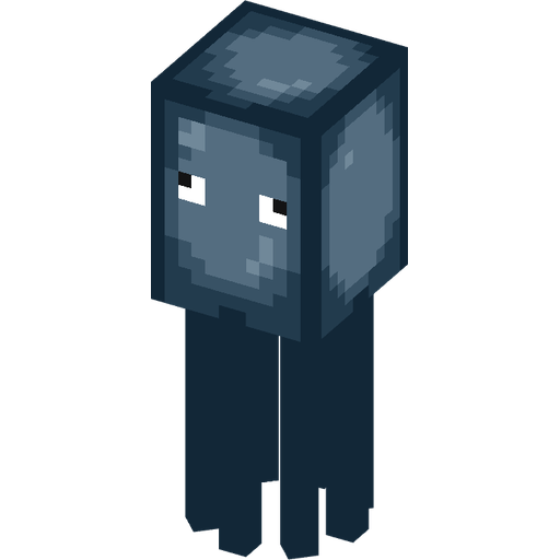 Squid illustration