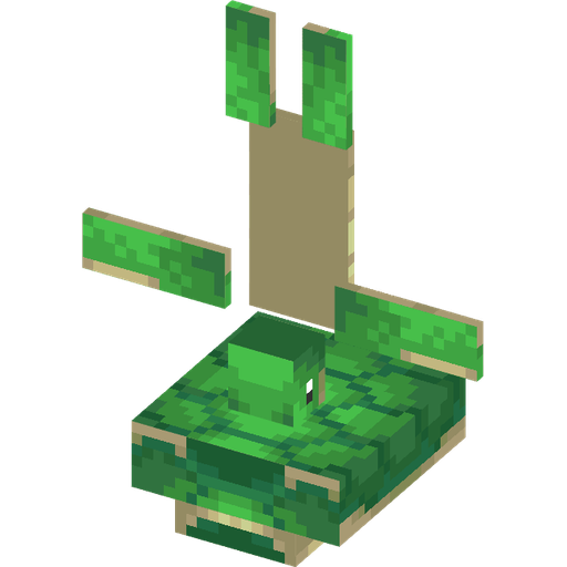 Turtle illustration